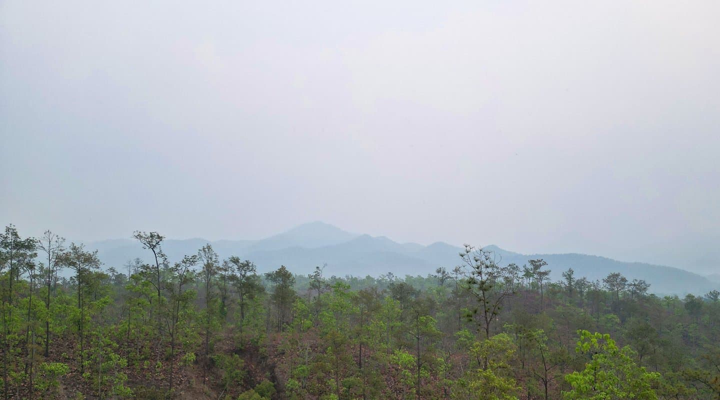 Air quality 101: Tips for staying safe during poor conditions