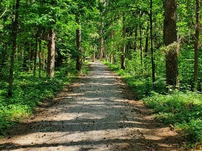 Tips for a happy, healthy summer
